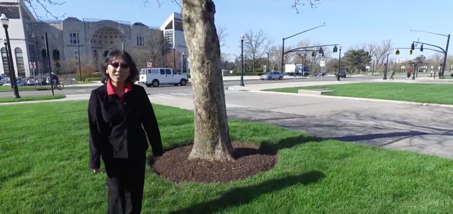 Plant pathology instructor walking near trees on Ohio State campus.