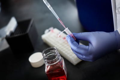 Closeup view of an OSU clinical research nurse’s blue gloved hand holding a pipette and small test tube distributing a red liquid from a vial. 