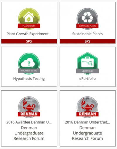 Examples of Buckeye Badges