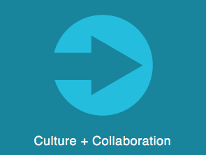 Culture and Collaboration Stories