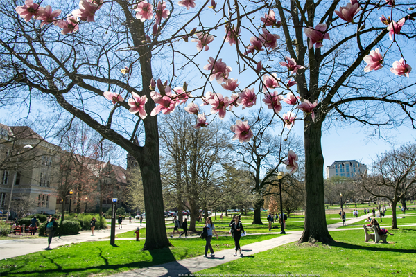 Ohio State Landscape