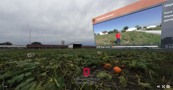 Screencap of 360-degree virtual field trip to a farm site where pumpkins grow on the ground. An inset window shows a video of a professor talking about the plants found at the site.