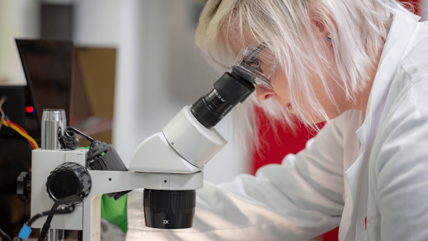 An OSU clinical research nurse looks through the lens of a microscope. 